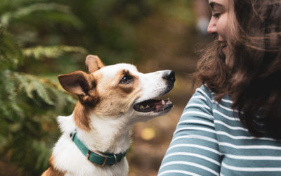 Pet and Owner Photography