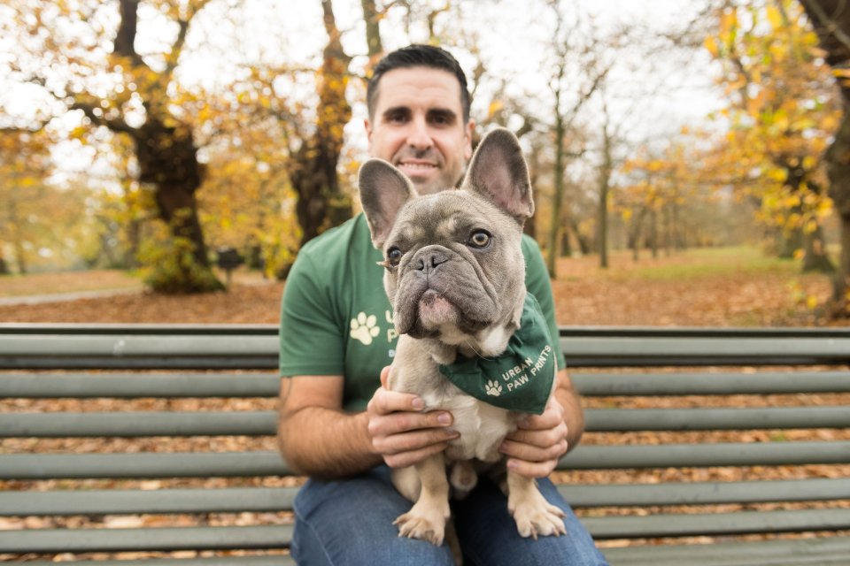 dog walker with French bulldog