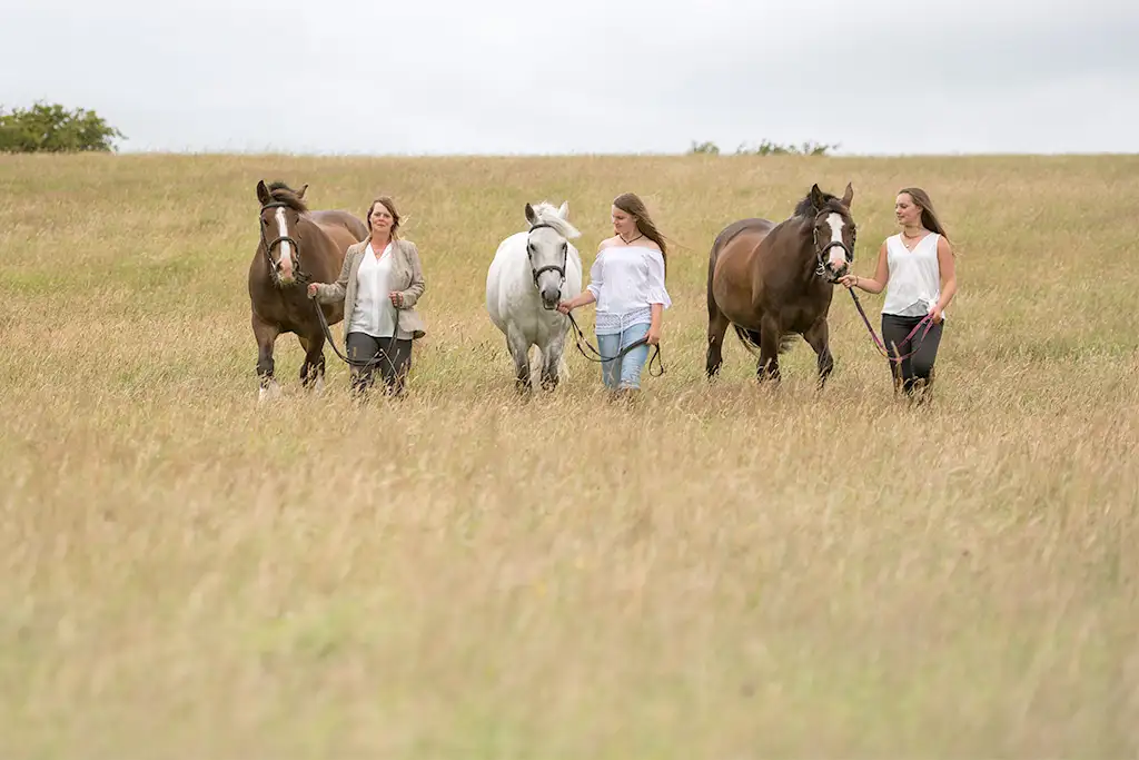 horse photography Powys, Wales and Shropshire