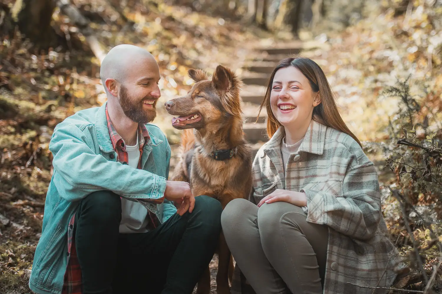 Dog owners in woodland near Welshpool with their dog sat between them